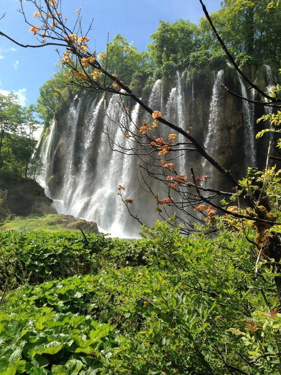 B&B Plitvice Lakes Villa Irene Selište Drežničko Kültér fotó